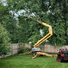 Best Tree Risk Assessment  in Canby, OR