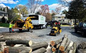  Canby, OR Tree Care Pros